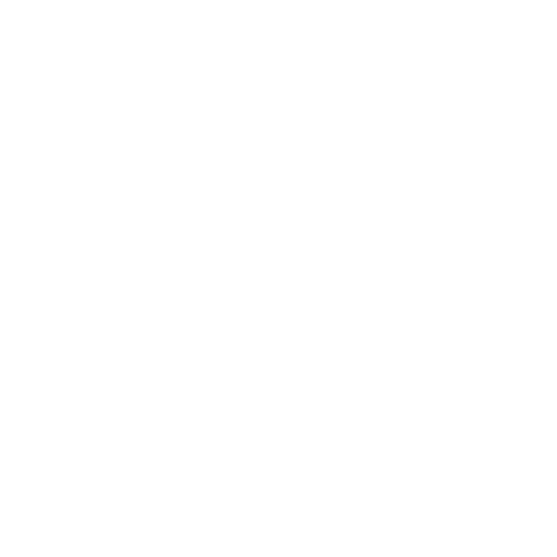 blowdryer-icon-boer-en-van-wijk-1