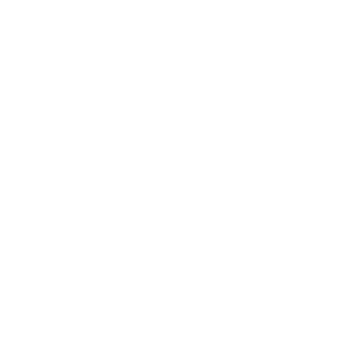 cleaning-icon-boer-en-van-wijk-1
