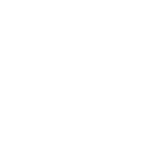 stanleymes-icon-boer-en-van-wijk-1