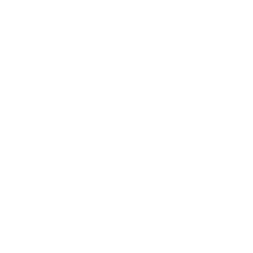 weight-icon-boer-en-van-wijk-1